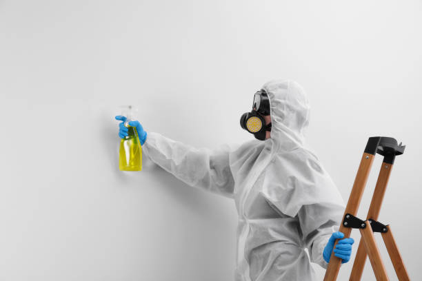 Best Mold Prevention Services  in Jarrettsville, MD